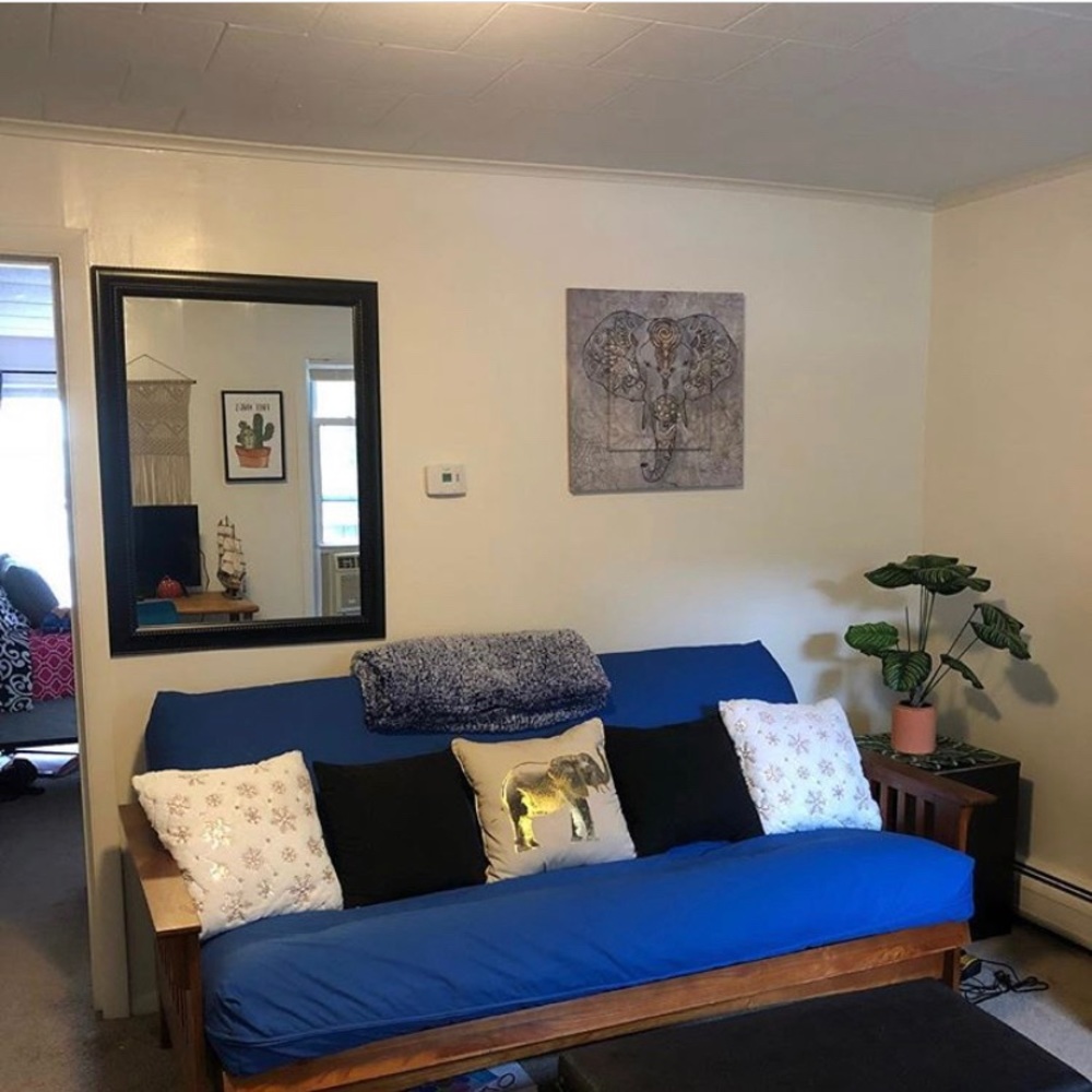 Futon Frame & Mattress